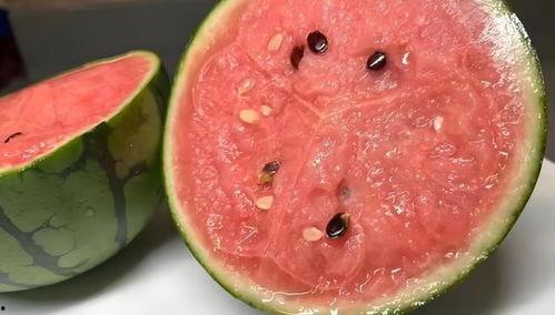 吃瓜不吃瓤,吃瓜不吃瓤，品味生活新境界