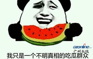 只喜欢吃瓜什么意思,探寻当代年轻人的独特趣味