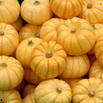 小金桔瓜怎么吃,小金桔瓜的多样食用方法探索