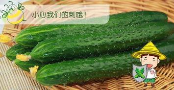 哪种鸟吃瓜最好,揭秘哪种鸟类是吃瓜高手