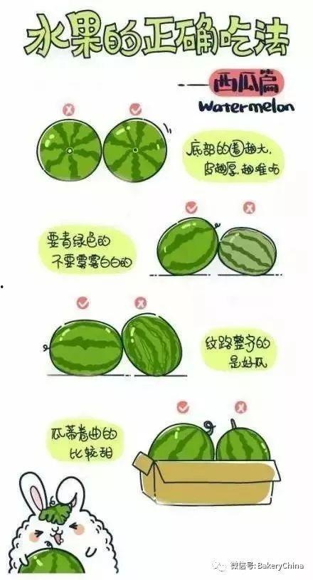 绿色的瓜水果怎么吃,绿色瓜果的多样食法探索