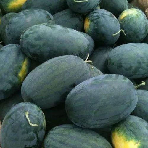 曹路镇三林崩瓜怎么吃,传统美食的多样吃法探索