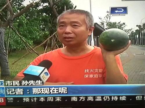 以前的吃瓜事件,那些年我们一起吃过的瓜