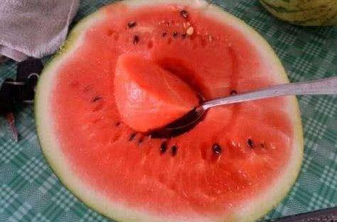 奇妙的吃瓜,揭秘瓜界奇闻轶事