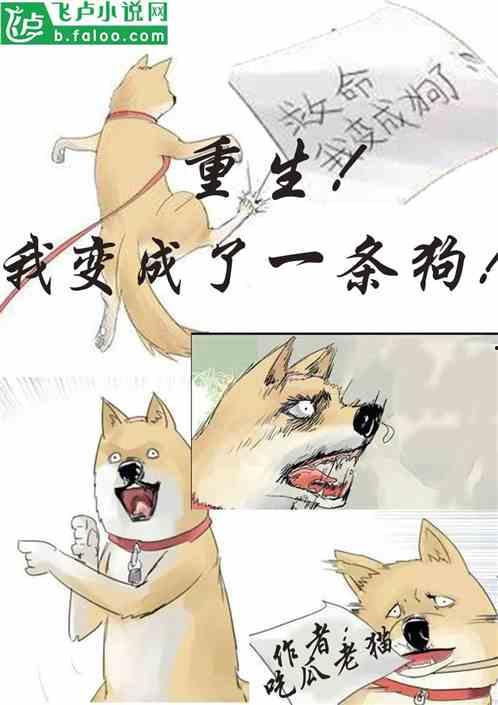 吃瓜系列小说,揭秘小说中的神秘世界