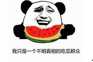 吃瓜666啥意思,揭秘“吃瓜666”网络热词背后的文化现象