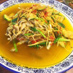 猫儿吃瓜,揭秘猫咪的夏日美食偏好