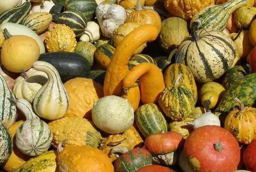 月子期间吃的瓜,美味与健康的完美融合